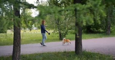 Kadın yeşil parkta güzel köpek yürüyüş ve akıllı telefon açık havada kullanarak