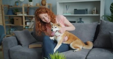 Neşeli genç bayan düz kanepede güzel shiba inu köpek okşayarak