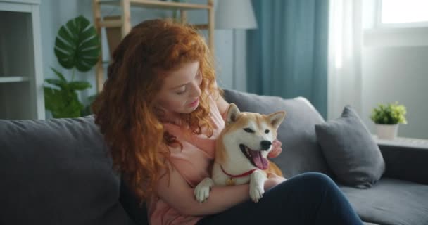 Loving woman speaking to cute dog and stroking animal on sofa in apartment — Stock Video