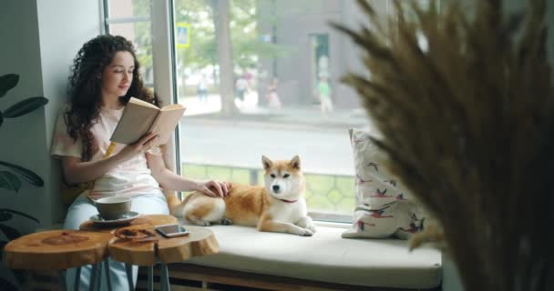 Симпатичная девушка гладит шибу-инскую собаку и читает книгу в кафе на подоконнике. — стоковое видео