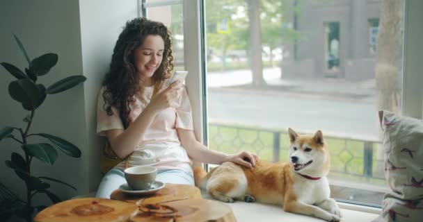 Mujer atractiva usando teléfono inteligente sentado en el alféizar de la ventana en la cafetería con el cachorro — Vídeos de Stock