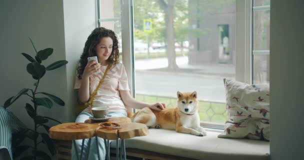 Menina bonita usando smartphone acariciando cão bonito sentado no peitoril da janela no café — Vídeo de Stock