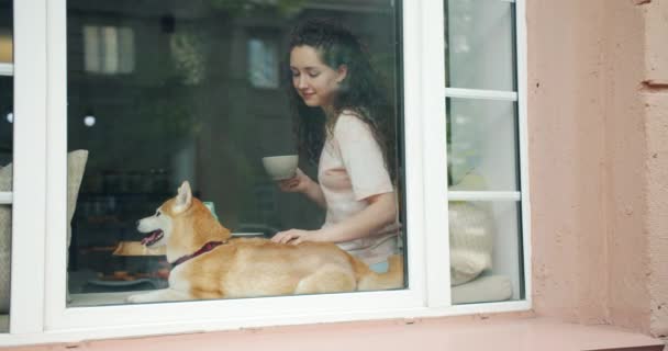 Happy student stroking adorable dog sitting in cafe on window sill with tea — Stock Video