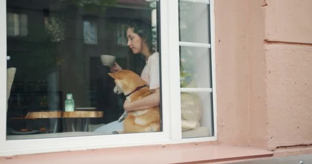 Красивая женщина пьет чай в кафе и обнимает милую шибу-ину собаку — стоковое видео
