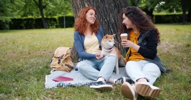 Lindas irmãs falando acariciando cão sentado no gramado no parque desfrutando de verão — Vídeo de Stock