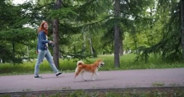 Sevimli shiba inu köpek ile parkta yürüyen çekici bayan Yan görünümü