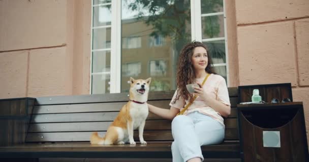 Νεαρή κυρία χαϊδεύοντας το σκυλί κάθεται στο παγκάκι έξω στο καφέ κρατώντας ένα φλιτζάνι καφέ — Αρχείο Βίντεο