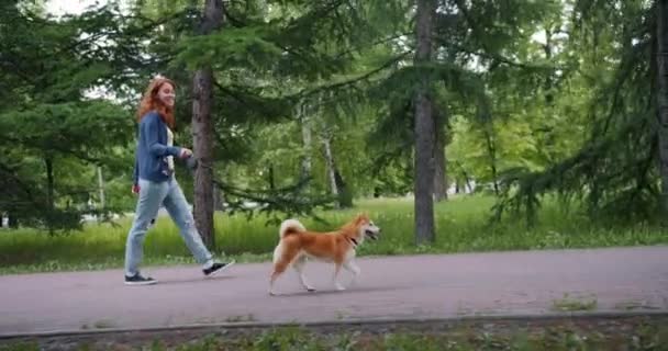 Vista lateral de la atractiva dama caminando en el parque con adorable perro shiba inu — Vídeos de Stock