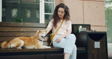 Güzel shiba inu köpek şehir kafede bankta oturan okşayarak Kız öğrenci