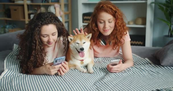 Hermosas hermanas usando teléfono inteligente y acariciando lindo perrito acostado en el sofá en casa — Vídeos de Stock