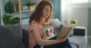 Pretty kadın kitap okuma ve evde kanepeüzerinde shiba inu köpek okşayarak