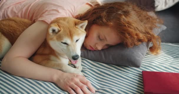 Estudante ruiva dormindo em casa abraçando shiba inu cão deitado na cama juntos — Vídeo de Stock