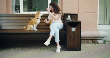 Shiba inu köpek besleyen ve kafede dışında evcil hayvan ile oynarken kadın yavaş hareket