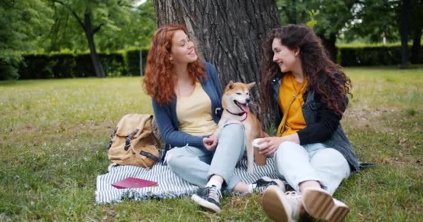 Γυναίκες φίλοι χαλάρωση στο πάρκο με αξιολάτρευτο σκυλί μιλάει γελώντας χαϊδεύοντας κατοικίδιο ζώο — Αρχείο Βίντεο