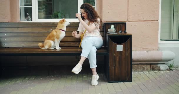 Movimiento lento de la mujer que alimenta al perro shiba inu y juega con la mascota afuera en la cafetería — Vídeo de stock