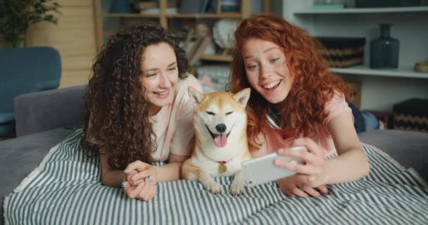 Красивые девушки делают селфи с милой собакой, используя смартфон на диване вместе — стоковое видео