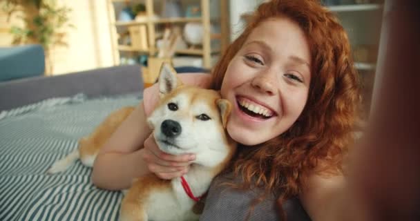 Retrato de menina alegre beijando shiba inu cão e tomando selfie segurando câmera — Vídeo de Stock