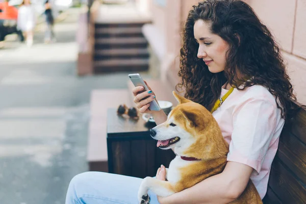 길거리 카페에서 개와 함께 소셜 미디어를 즐기는 스마트 폰을 사용하는 젊은 여성 — 스톡 사진