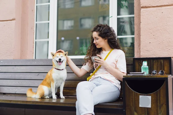 Sonriente dama acariciando hermoso perro y sosteniendo taza de café en la cafetería de la calle —  Fotos de Stock