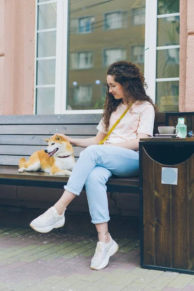 Mujer cariñosa acariciando shiba inu cachorro sentado en el banco en la calle cafetería —  Fotos de Stock