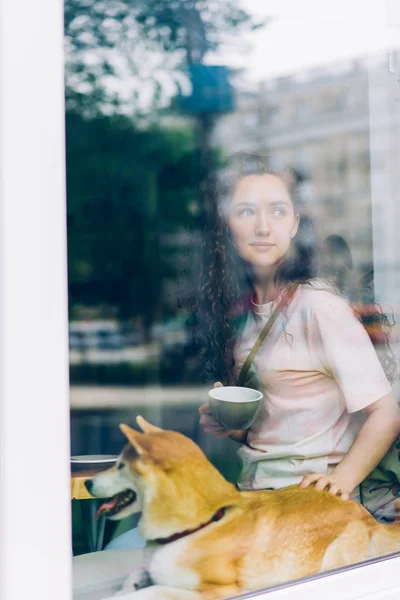 Bastante joven bebiendo café acariciando perrito sentado en alféizar ventana en la cafetería —  Fotos de Stock