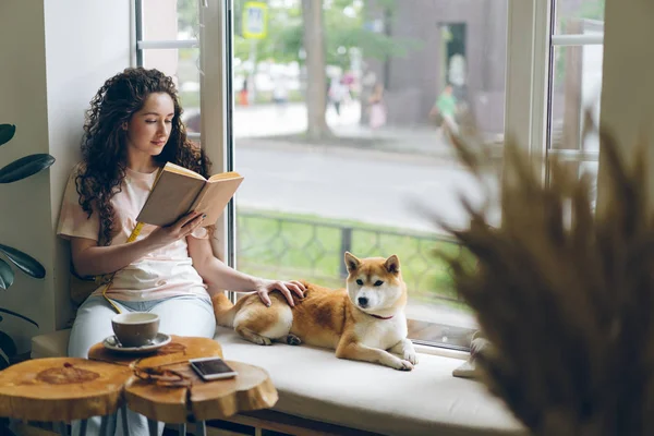 女学生看书和抚摸宠物狗坐在窗台上在咖啡馆 — 图库照片