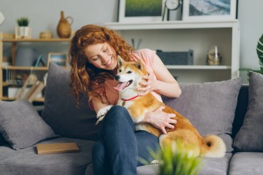 Neşeli genç bayan düz gülümseyen kanepede güzel Shiba inu köpek yavrusu okşayarak