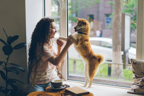 Feliz mujer joven bailando con perro mascota sentado en el alféizar de la ventana en la cafetería divirtiéndose —  Fotos de Stock