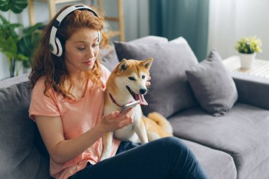 Evde akıllı telefon okşayarak köpek kullanarak kulaklıkta müzik zevk Pretty Lady