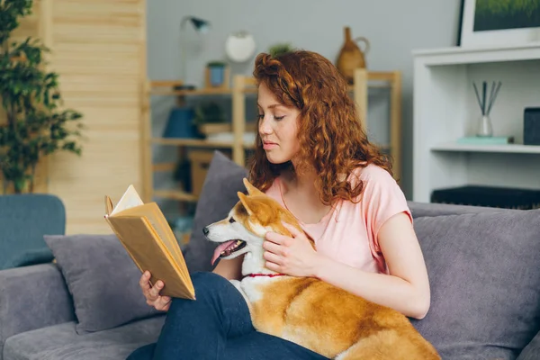 예쁜 여자 독서 책 미소 쓰다듬어 시바 이누 강아지 에 소파 에 홈 — 스톡 사진