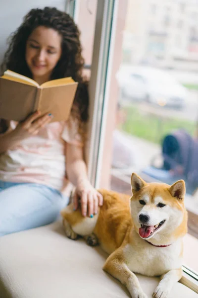 Dobrze wyglądające uczennice głaszcząc psa czytanie książki w kawiarni na parapecie — Zdjęcie stockowe