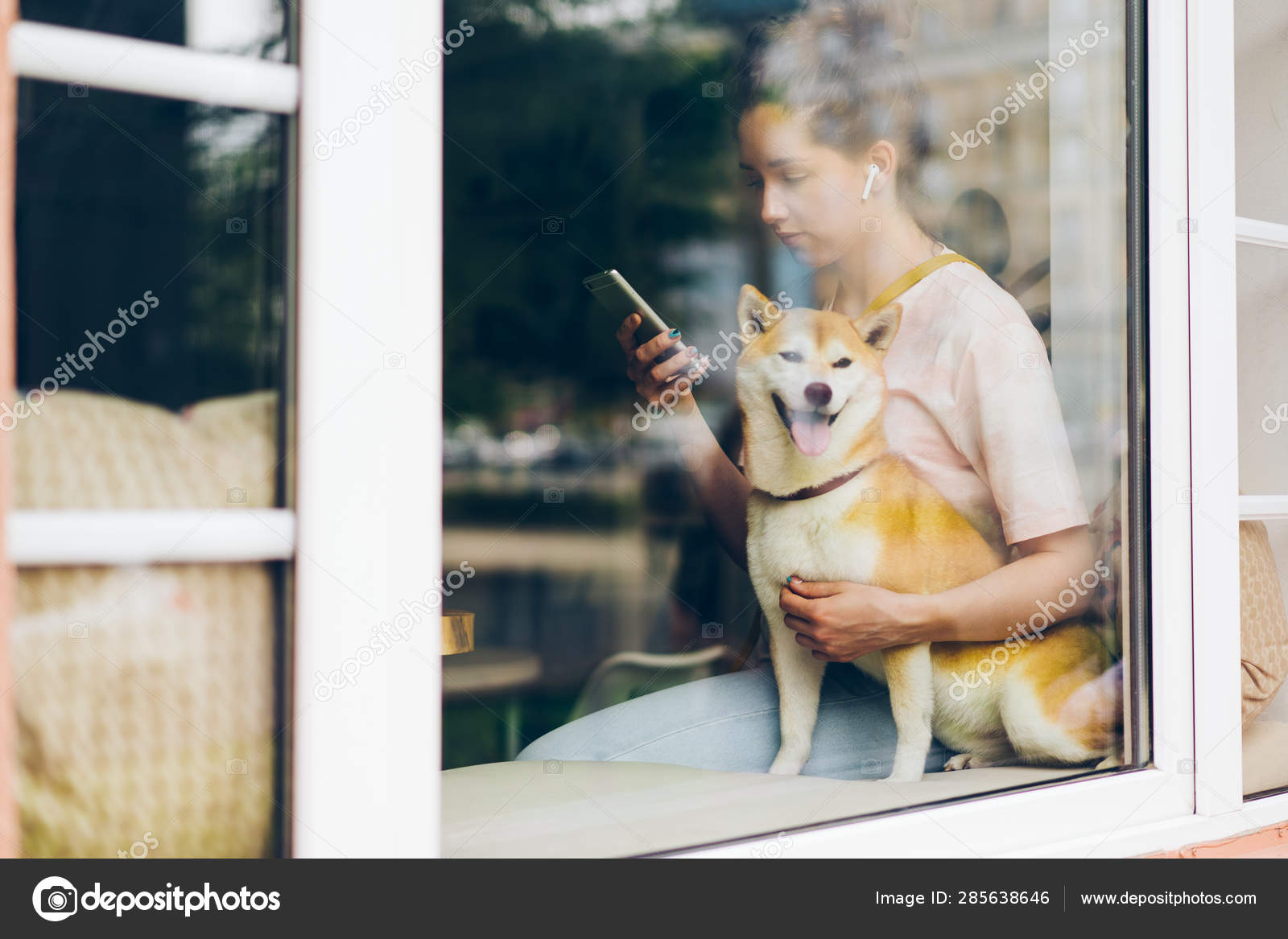 柴犬写真素材 ロイヤリティフリー柴犬画像 Depositphotos 柴犬写真素材 ロイヤリティフリー柴犬画像 Depositphotos