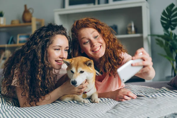 Güzel kızlar birlikte kanepede akıllı telefon kullanarak sevimli köpek selfie alıyor — Stok fotoğraf