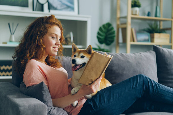 Pretty student reading book in apartment smiling and petting adorable dog