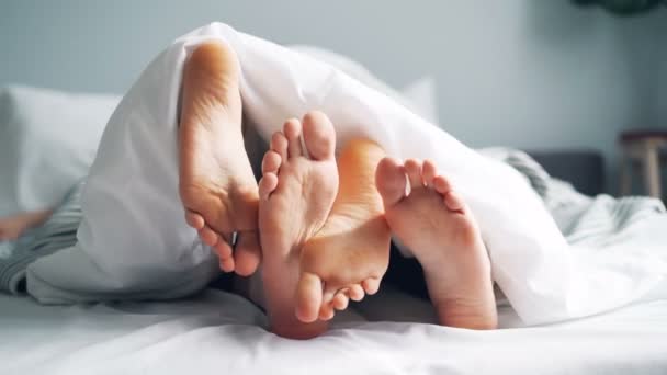 Chicas y chicos pies acariciando en la cama bajo manta, pareja disfrutando de la relación — Vídeos de Stock