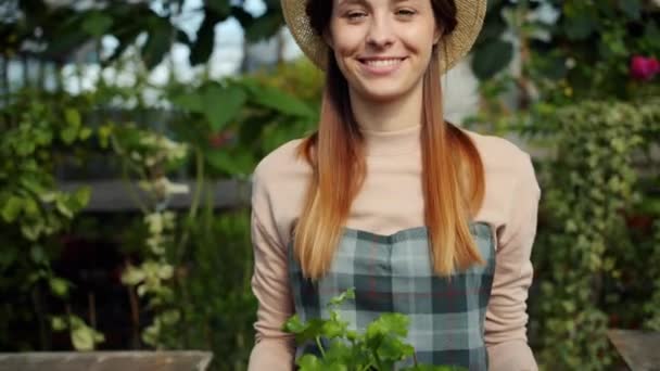 Yeşil bitki kutusu ile serada yürüyen güzel kız çiftçi yavaş hareket — Stok video