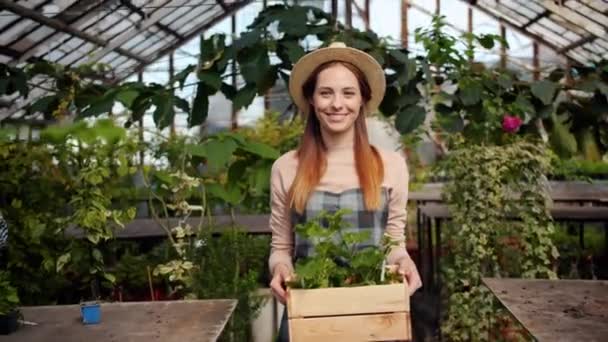 Retrato de jardinero feliz caminando en invernadero con caja de plantas sonriendo — Vídeos de Stock