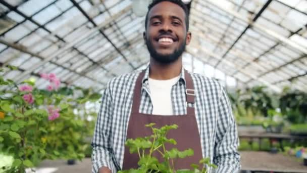 Portrét zahradníka Afričan americký muž chůze v hošnici s krabička rostlin — Stock video