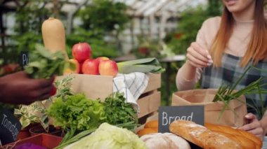 Serada çiftlik satışı sırasında torbada organik sebze ambalaj Satıcı