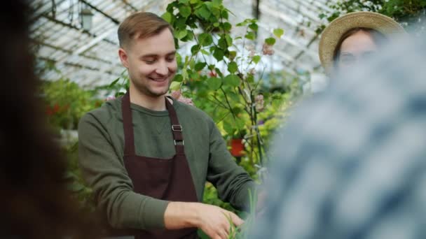 Χαρούμενοι πωλητές που δίνουν βιολογικά τρόφιμα σε πελάτες στην αγορά θερμοκηπίου — Αρχείο Βίντεο