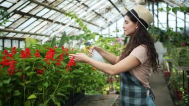 Seradaki bitkilere apron ve şapka püskürten genç kadın