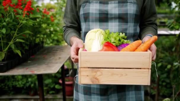 Tilt-up shot of man in apron farmer carrying wooden box of organic vegetables — Stockvideo