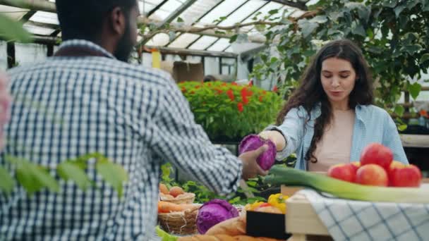 Young lady choosing organic food in market and talking to African American guy — Stock Video