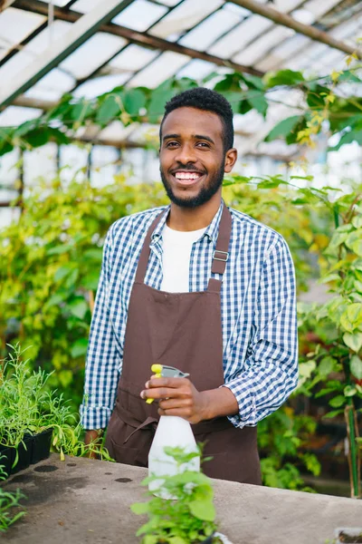 Portrait of African American man farmer holding sprinkler in greenhouse smiling — Stock Photo, Image