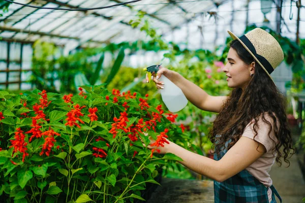 Alegre agricultora rociando flores florecientes con botella de spray en invernadero —  Fotos de Stock