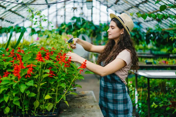 Jeune femme en tablier et chapeau pulvérisation d'eau sur les plantes en serre — Photo