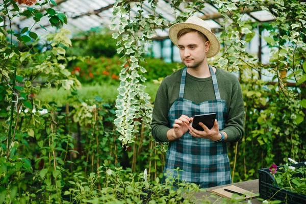 Portrait of handsome young man using tablet in glasshouse working alone — Stock Photo, Image