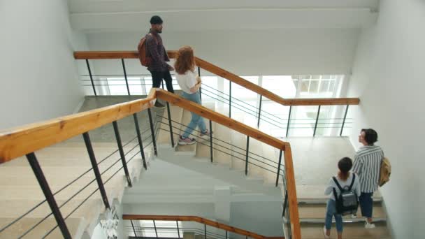 Wesoły spotkanie studentów na schodach na Uniwersytecie robi wysoki-pięć rozmów — Wideo stockowe