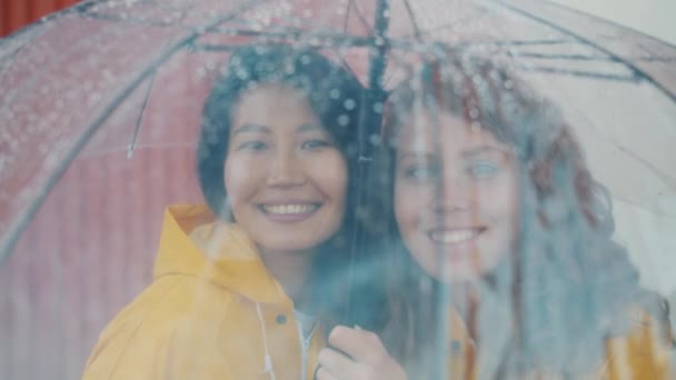 Porträt glücklicher Freunde in Regenmänteln, die unter Regenschirmen im Freien stehen — Stockvideo