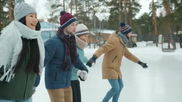Медленное движение счастливых друзей катание на коньках в парке, держась за руки в зимний день — стоковое видео